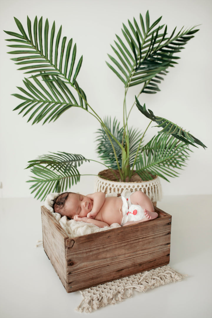 Baby sleeping in a box wearing a Bambam cloth nappy done up with an orange snappi with a pot plant as shade. The baby is sleeping peacefully in its reusable nappy.